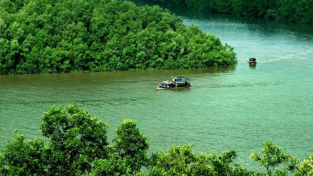 Lý do Vinhomes Lại Chọn Cần Giờ thay vì Phan Thiết, Hồ Tràm? 3