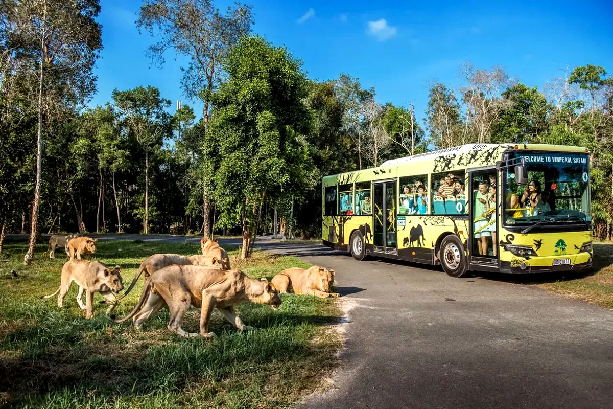 Safari Vinhomes Green Paradise có gì đặc biệt?